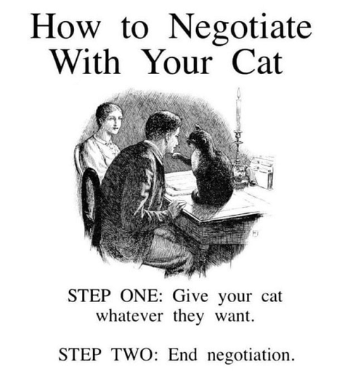 negotiate w. cat.png